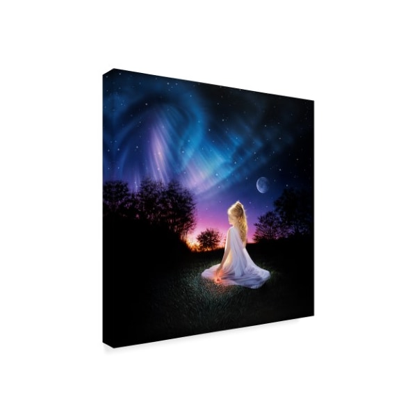 Kirk Reinert 'Evening Wonder' Canvas Art,18x18